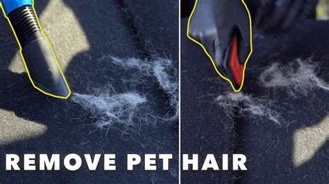 How to Remove Pet Hair from Car: A Journey Through the Lint Roller Galaxy