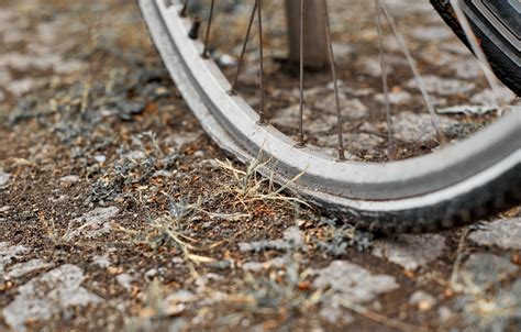 Why Does One Tire Keep Losing Air: Is It a Conspiracy of the Road Spirits?